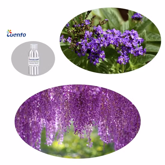 2023 New Design Flameless Natural Essential Oil Fragrance for Air Freshener