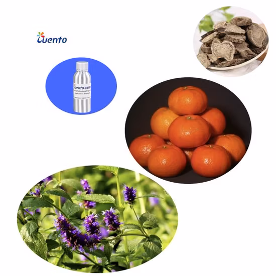 2023 New Design Flameless Natural Essential Oil Fragrance for Air Freshener