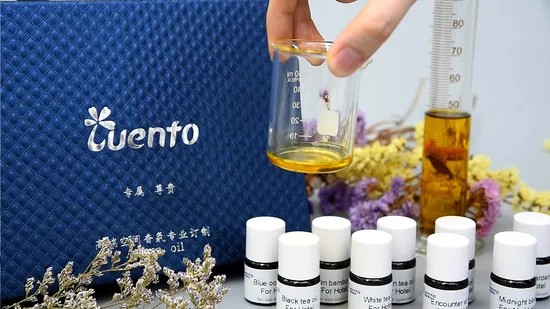 2023 New Design Flameless Natural Essential Oil Fragrance for Air Freshener